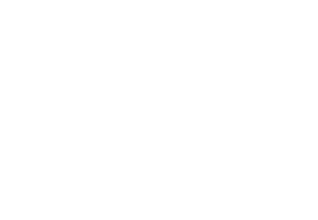 solid source corp logo reversed